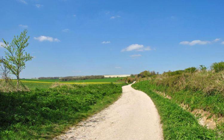 The Run, West Lavant Chichester Esterno foto